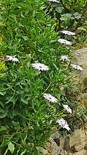 Photo of Silsila - North St, Driffield YO25 6AS